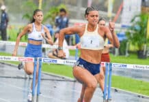 Meeting international d’athlétisme de l’océan Indien : des centaines d’athlètes à l’Étang-Salé
