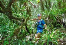 Du trail addictif au trail créatif, un vœu pour 2026